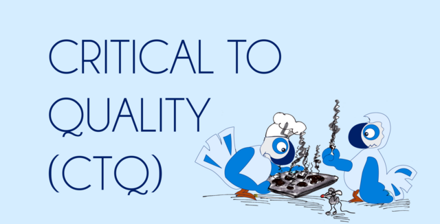 Critical to Quality (CTQ)