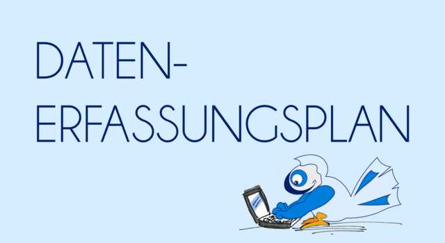 Datenerfassungsplan